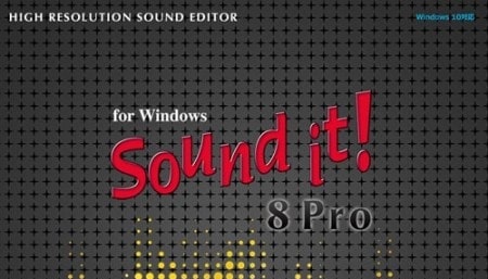 Internet Sound It 9 Pro v9.01.0 WiN